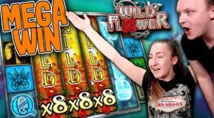 Wild Flower max win video 1