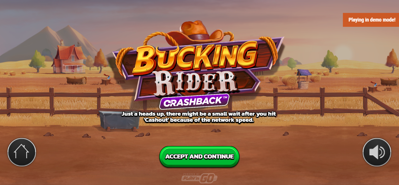 Bucking Rider