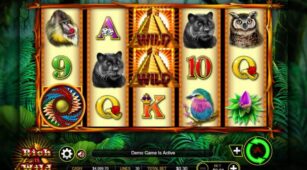 Rich N Wild demo play free 0