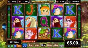 Wonder Tree max win video 1