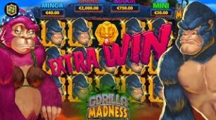 Gorilla Madness max win video 0