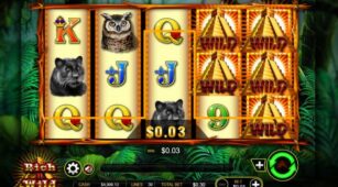 Rich N Wild demo play free 2